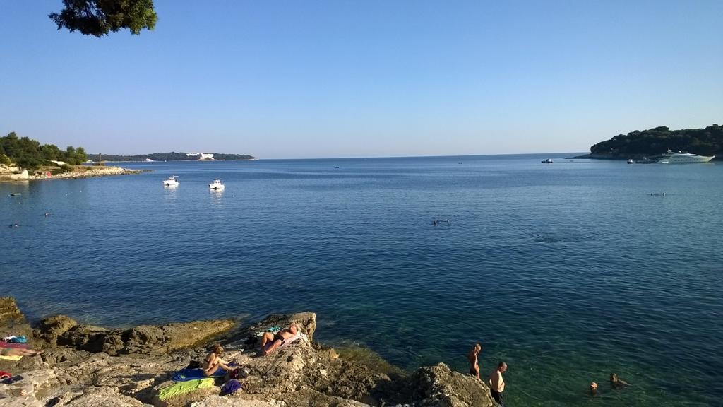 Sea Dreams