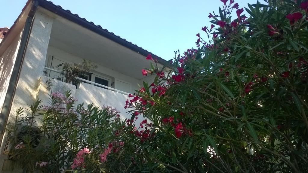 Apartman Sea Dreams